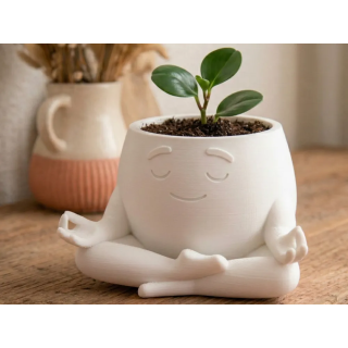 Meditasyon saksı
